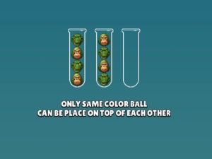 Spill Brainrot Mind Puzzle Sort Challenge online