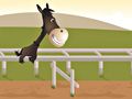 Spill Horsey Run Run 2  online