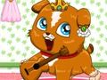 Spill Pet Roulette online Spill Pet Roulette online