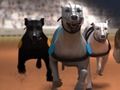 Spill Greyhound Racing online