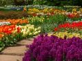 Spill Blomsterhage 2 online