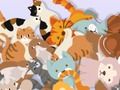 Spill Finn The Kitty  online