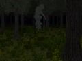 Spill Caged Forest online