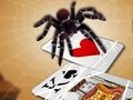 Spill Hoppe Spider  online