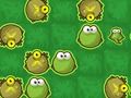 Spill Frog Rush online