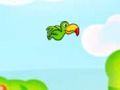 Spill Toucan Bird  online