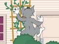 Spill Tom og Jerry: Wasserbomben Wahnsinn  online