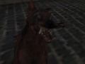 Spill Nazi -zombiehæren online