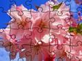 Spill Puslespill: blomster  online