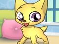 Spill Princess Pet Studio online