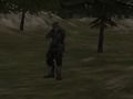 Spill FPS -byrå: Forest online