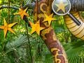 Spill Jungle Hidden Stars online