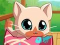 Spill Min Pocket Pets Kitty Cat  online