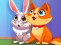 Spill Min Pet Clinic  online