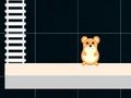 Spill Smart Hamster: Even og Odd  online
