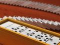 Spill Domino Multiplayer online