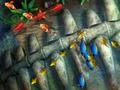 Spill Fiskekonge  online