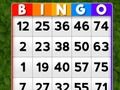 Spill Bingo online Spill Bingo online