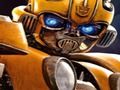 Spill Bumblebee: Hidden Fragments  online
