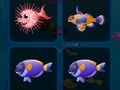 Spill Fiskekort  online
