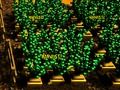 Spill Pixel Farm online
