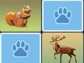 Spill Wild Memory Match online