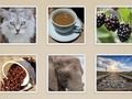 Spill Bildelysbilde  online