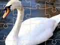 Spill Swan Puzzle Utfordring  online