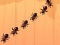 Spill Ant Smash online