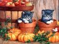 Spill Halloween-maleri  online