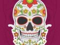 Spill Fargerik Skull Jigsaw  online