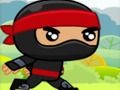 Spill Ninja online