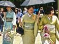 Spill 100 sommerfugler i Japan  online
