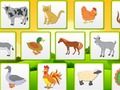 Spill Farm Animals Kids Learning Memory  online