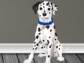 Spill Veterinærlege Escape 2  online