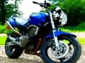 Spill Tunge motorsykler Jigsaw  online