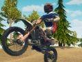Spill Skitt sykkel enduro racing online