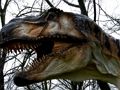 Spill T-Rex Dinosaur Jigsaw online