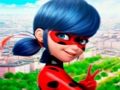 Spill Ladybug Jigsaw Puzzle Collection online