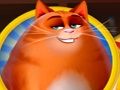 Spill Kitty rusling online