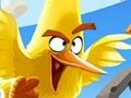 Spill Angry Birds puslespill samling  online