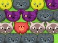 Spill Pop-pop kattunger  online