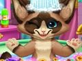 Spill Kattungebad  online