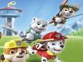 Spill Paw Patrol Coloring online