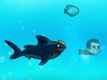 Spill Angry Shark Miami online Spill Angry Shark Miami online