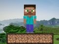 Spill Minecraft overlevelse  online