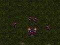 Spill Starcraft 3  online