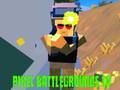 Spill Pixel Battlegrounds. IO  online