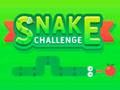 Spill Snake Challenge online