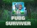 Spill PUBG Survivor  online